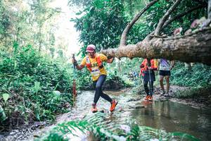 BIB: 
                            <button type="button" onclick="openModal(25443513)" class="btn btn-primary btn-sm float-right btn-popup" data-toggle="modal" data-target=".modal-high-quality">
                        <i class="fas fa-shopping-cart"></i> Add to Cart
                    </button>
                                            <button type="button" onclick="isThisMe(25443513, true)" class="btn btn-success btn-sm float-right btn-popup btn-isme hidden" data-toggle="tooltip" data-placement="bottom" title="นี่คือรูปของคุณใช่ไหม คลิกที่นี่เพื่อเอาเข้าอัลบั้ม">
                        <i class="fas fa-plus"></i> Add to album
                    </button>
                    <button type="button" onclick="isThisMe(25443513, false)" class="btn btn-warning btn-sm float-right btn-popup btn-isnotme hidden">
                        <i class="fas fa-ban"></i> Remove from album
                    </button>